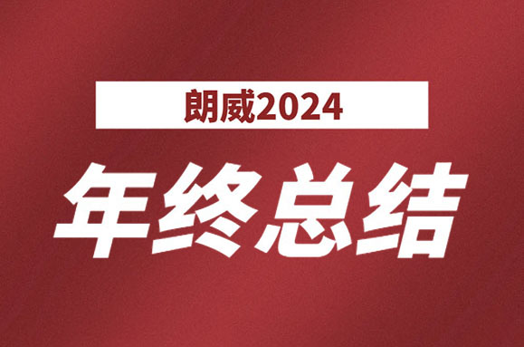 朗威2024年终工作总结